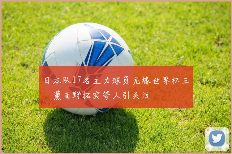 日本队17名主力球员无缘世界杯三笘薰南野拓实等人引关注