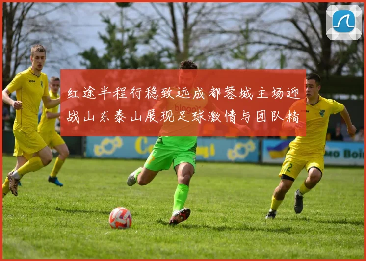 红途半程行稳致远成都蓉城主场迎战山东泰山展现足球激情与团队精神